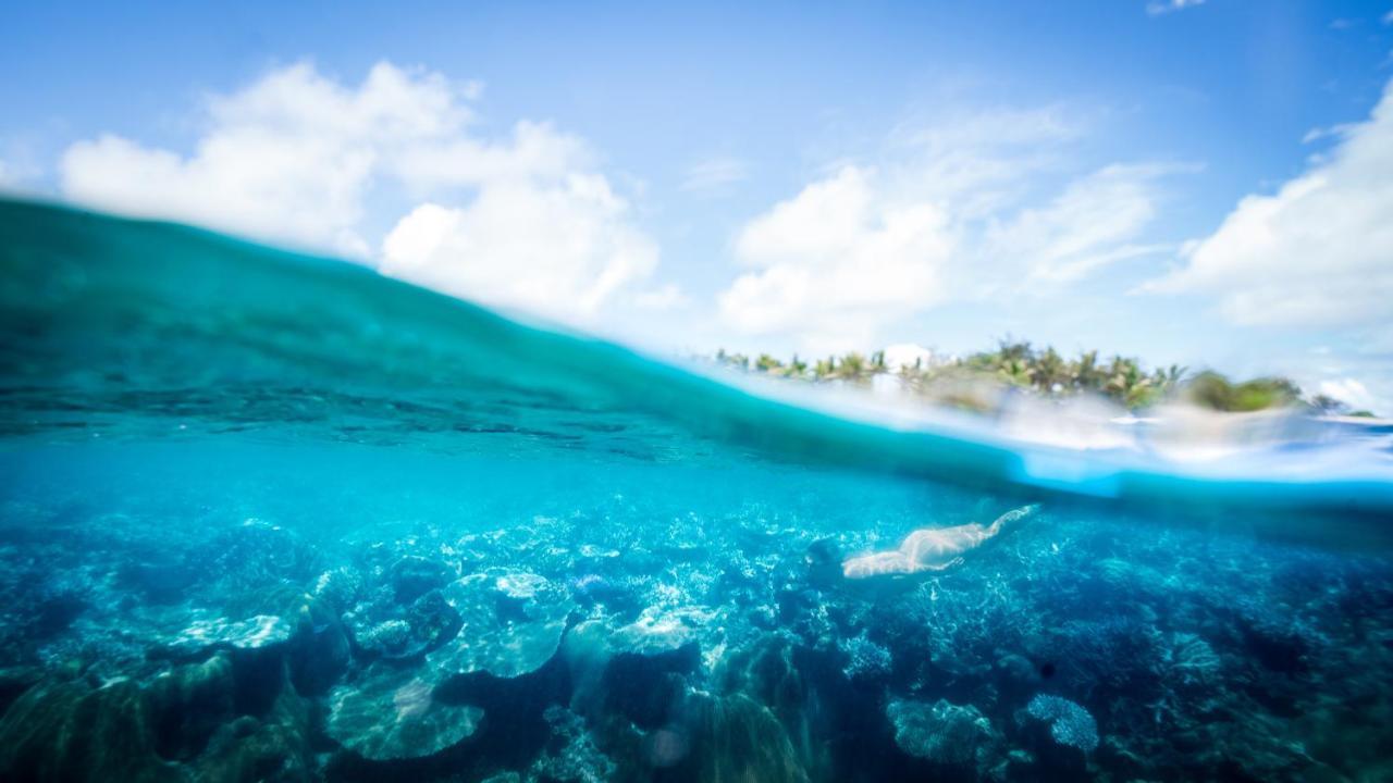 Paradise Cove Resort Naukacuvu Island Экстерьер фото